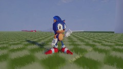 EE.UU sonic test
