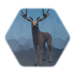 Deer