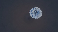 A screenshot taken in Dreams. 2 of 17.