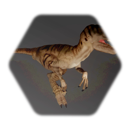 UtahRaptor