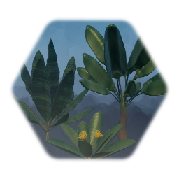 3 Jungle Plants