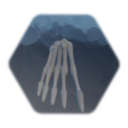 Skeleton Foot