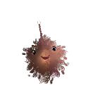 hungrybrainz