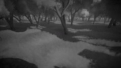 Moogle Pet store second section