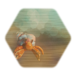 Hermit Crab