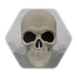 Skull