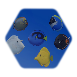 Tang Fish Collection