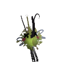 coolpufling6