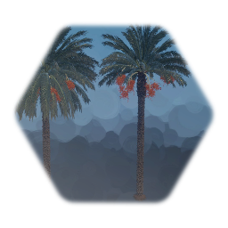 Palm Trees and cycads of Earth