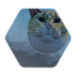 Orange Tabby Cat (Head)