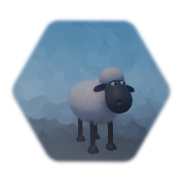 Sheep