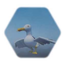 Seagull