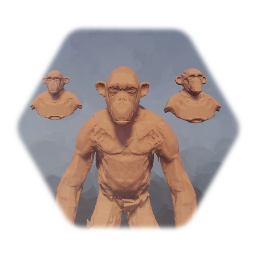 Asset - Ape study