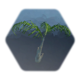 Small Palm Tree