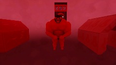 An Average Day In Lidicus