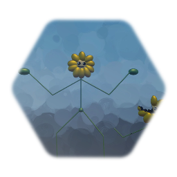 Daisy The Flower - 5/14/2022