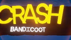 Crash badicoot