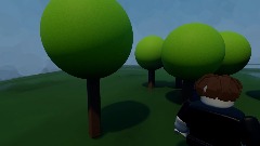 Roblox animation