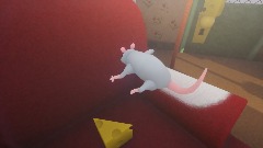 Mouse finds all cheese