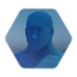 Male Mannequin Bust