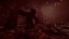 Enter the Nightmare Woods