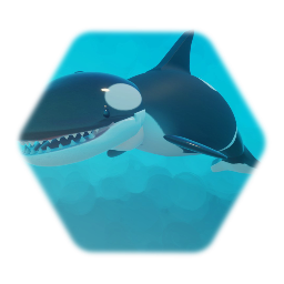 SHOUT! (about orcas)