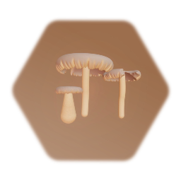 Mushrooms