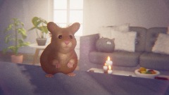 Hamster at Home
