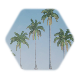 Royal Palm Thermo Friendly
