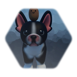 Boston Terrier