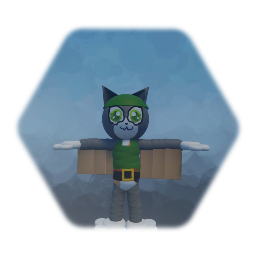 Flying pirate Cat model