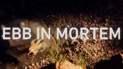 VIDEO JAM | Ebb in Mortem