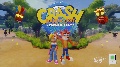 Crash bandicoot collection