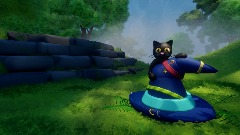 The Forest Guardians