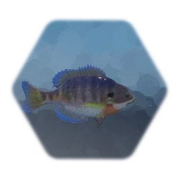 Floppy Fish
