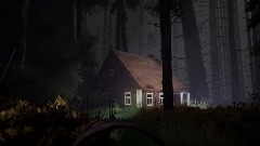 House in the woods