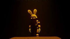 Lucky`s salvage caught on tape