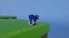 Sonic rivals