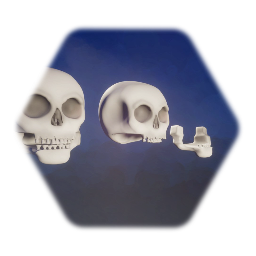Skull with detached jaw