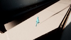 The abandoned