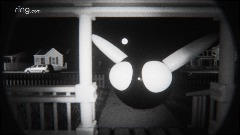 [*realism ring doorbell*] my version