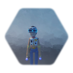 VR Woody