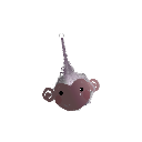 Banji_banjo9