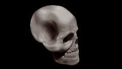 Human Skull