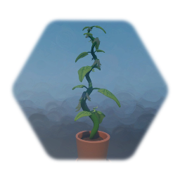 Magic Beanstalk