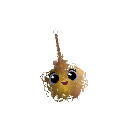 CAPYBARA_PROD