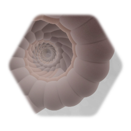 Spiral Shell