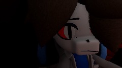 Videos: Joaquín and Loona