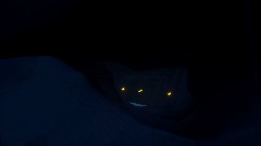 A screenshot taken in Dreams. 3 of 3.