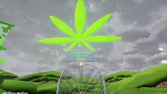 Sunnyvale Trailer Park!